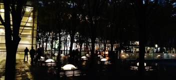 Keyaki Hiroba Plaza trees night close-up